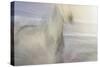 Dawn Gallop-Valda Bailey-Stretched Canvas