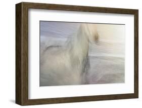 Dawn Gallop-Valda Bailey-Framed Photographic Print