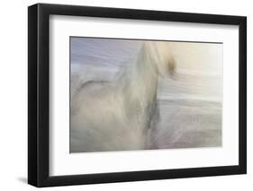 Dawn Gallop-Valda Bailey-Framed Photographic Print