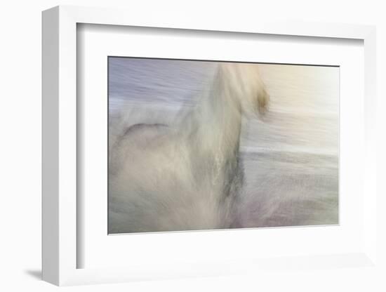 Dawn Gallop-Valda Bailey-Framed Photographic Print