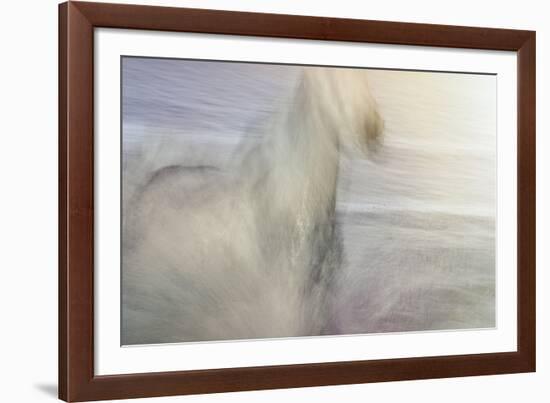 Dawn Gallop-Valda Bailey-Framed Photographic Print