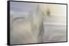 Dawn Gallop-Valda Bailey-Framed Stretched Canvas