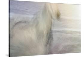 Dawn Gallop-Valda Bailey-Stretched Canvas