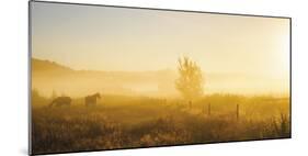 Dawn Graze-Mikael Svensson-Mounted Giclee Print