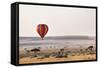 Dawn Hot Air Balloon Ride, Masai Mara National Reserve, Kenya, East Africa, Africa-Ann and Steve Toon-Framed Stretched Canvas