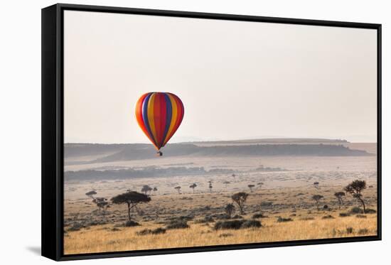 Dawn Hot Air Balloon Ride, Masai Mara National Reserve, Kenya, East Africa, Africa-Ann and Steve Toon-Framed Stretched Canvas