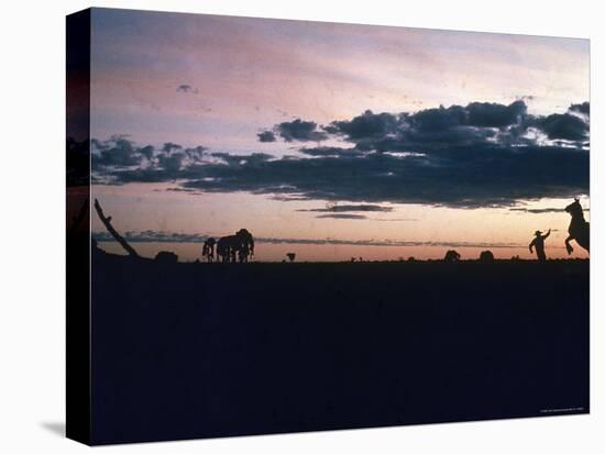 Dawn in the Australian Outback Finds a Stockman Trying to Calm His Rearing Horse-George Silk-Stretched Canvas