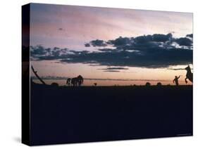 Dawn in the Australian Outback Finds a Stockman Trying to Calm His Rearing Horse-George Silk-Stretched Canvas