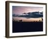 Dawn in the Australian Outback Finds a Stockman Trying to Calm His Rearing Horse-George Silk-Framed Photographic Print