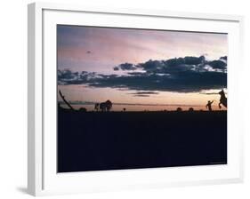 Dawn in the Australian Outback Finds a Stockman Trying to Calm His Rearing Horse-George Silk-Framed Photographic Print