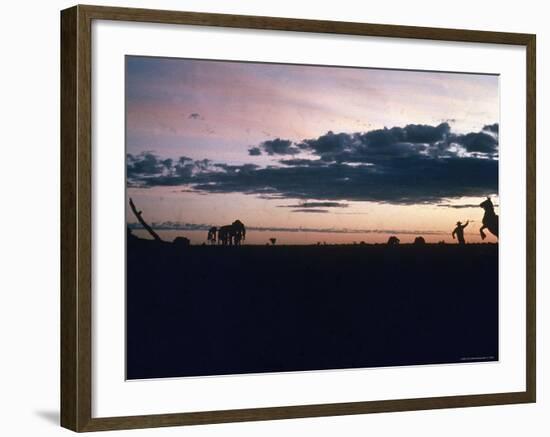 Dawn in the Australian Outback Finds a Stockman Trying to Calm His Rearing Horse-George Silk-Framed Photographic Print