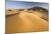 Dawn in the Dunes-null-Mounted Photographic Print