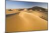 Dawn in the Dunes-null-Mounted Photographic Print