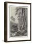 Dawn in the Forest-Frederick William Hayes-Framed Giclee Print