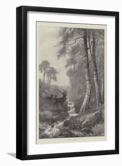 Dawn in the Forest-Frederick William Hayes-Framed Giclee Print