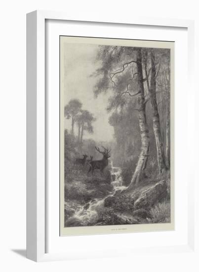 Dawn in the Forest-Frederick William Hayes-Framed Giclee Print