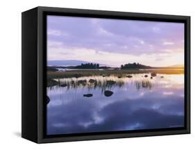 Dawn Light on Loch Ba on Desolate Rannoch Moor, Highlands, Scotland-Louise Murray-Framed Stretched Canvas