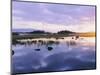 Dawn Light on Loch Ba on Desolate Rannoch Moor, Highlands, Scotland-Louise Murray-Mounted Photographic Print