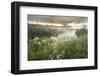 Dawn Light over Wetland Habitat, Nemunas Regional Reserve, Lithuania, June 2009-Hamblin-Framed Photographic Print