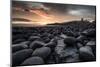 Dawn light reflecting on the rocks at Dunstanburgh Castle on the North East Coast, UK-George Robertson-Mounted Photographic Print