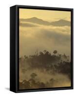 Dawn Light Silhouettes the Trees of the Rainforest, Danum Valley, Sabah, Island of Borneo, Malaysia-Louise Murray-Framed Stretched Canvas