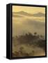 Dawn Light Silhouettes the Trees of the Rainforest, Danum Valley, Sabah, Island of Borneo, Malaysia-Louise Murray-Framed Stretched Canvas