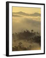 Dawn Light Silhouettes the Trees of the Rainforest, Danum Valley, Sabah, Island of Borneo, Malaysia-Louise Murray-Framed Photographic Print