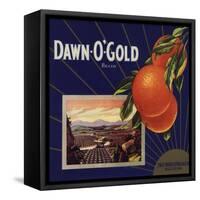Dawn O Gold Brand - California - Citrus Crate Label-Lantern Press-Framed Stretched Canvas