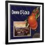 Dawn O Gold Brand - California - Citrus Crate Label-Lantern Press-Framed Art Print