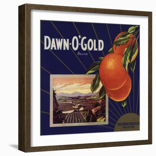 Dawn O Gold Brand - California - Citrus Crate Label-Lantern Press-Framed Art Print