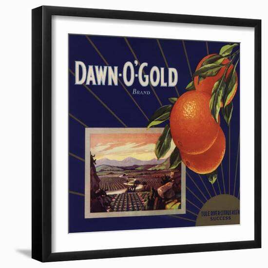 Dawn O Gold Brand - California - Citrus Crate Label-Lantern Press-Framed Art Print