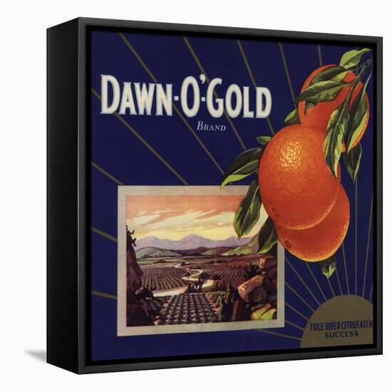 Dawn O Gold Brand - California - Citrus Crate Label-Lantern Press-Framed Stretched Canvas