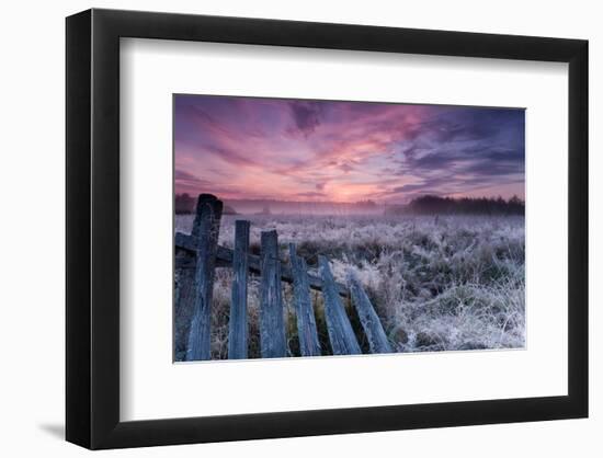 Dawn of Bialowieza Meadows-null-Framed Art Print