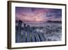 Dawn of Bialowieza Meadows-Krzysztof Lorant-Framed Photographic Print