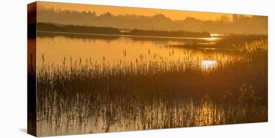 Dawn on the River Alde-Martin Wilcox-Stretched Canvas