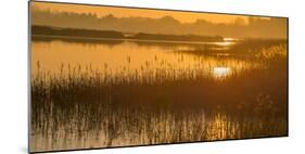 Dawn on the River Alde-Martin Wilcox-Mounted Photographic Print