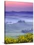 Dawn over Belvedere-Michael Blanchette-Stretched Canvas