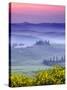 Dawn over Belvedere-Michael Blanchette-Stretched Canvas