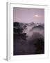 Dawn Over Canopy of Tai Forest, Cote D'Ivoire, West Africa-Michael W. Richards-Framed Photographic Print