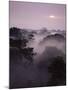 Dawn Over Canopy of Tai Forest, Cote D'Ivoire, West Africa-Michael W. Richards-Mounted Photographic Print