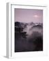 Dawn Over Canopy of Tai Forest, Cote D'Ivoire, West Africa-Michael W. Richards-Framed Photographic Print