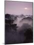 Dawn Over Canopy of Tai Forest, Cote D'Ivoire, West Africa-Michael W. Richards-Mounted Photographic Print