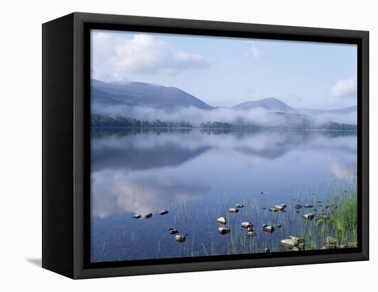 Dawn Over Loch Morlich, Cairngorms National Park, Scotland-Pete Cairns-Framed Stretched Canvas