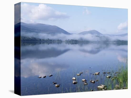 Dawn Over Loch Morlich, Cairngorms National Park, Scotland-Pete Cairns-Stretched Canvas