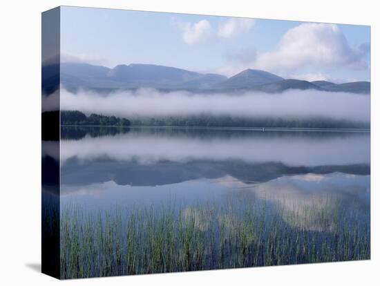 Dawn Over Loch Morlich, Cairngorms National Park, Scotland-Pete Cairns-Stretched Canvas