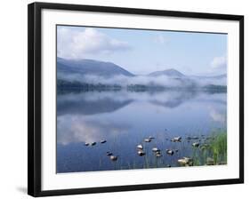 Dawn Over Loch Morlich, Cairngorms National Park, Scotland-Pete Cairns-Framed Photographic Print