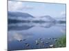 Dawn Over Loch Morlich, Cairngorms National Park, Scotland-Pete Cairns-Mounted Photographic Print