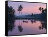 Dawn over the Backwaters, Near Alappuzha (Alleppey), Kerala, India, Asia-Stuart Black-Framed Stretched Canvas