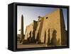 Dawn over the Impressive First Pylon of Luxor Temple, Egypt-Julian Love-Framed Stretched Canvas