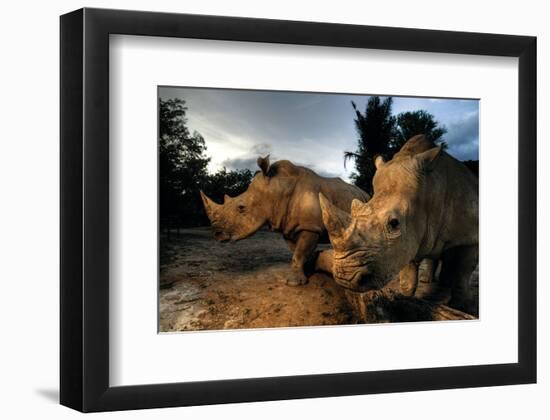 Dawn Patrol-null-Framed Art Print